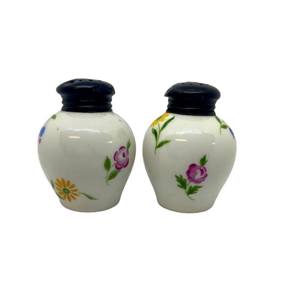 Rosenthal Selb Germany Salt & Pepper Shakers Hand Painted Floral - Picture 1 of 6